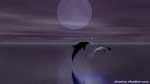 Pleine Lune